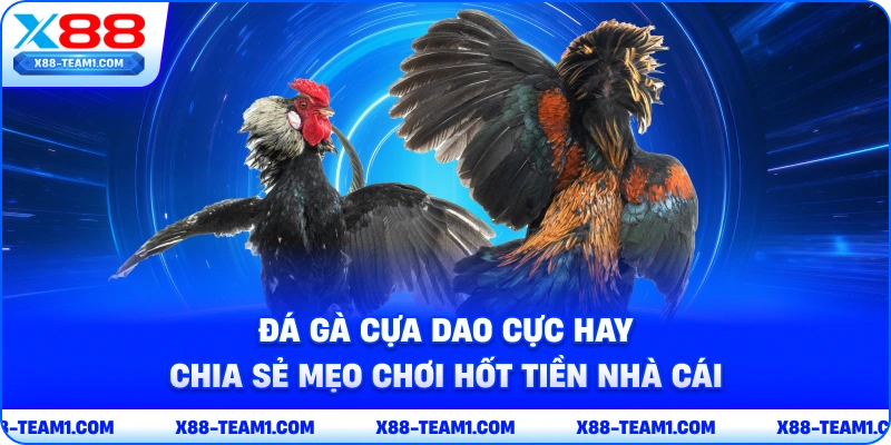 Đá Gà Cựa Dao Cực Hay – Chia Sẻ Mẹo Chơi Hốt Tiền Nhà Cái 1 da-ga-cua-dao-cuc-hay-chia-se-meo-choi-hot-tien-nha-cai