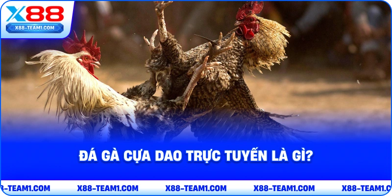 Đá Gà Cựa Dao Cực Hay – Chia Sẻ Mẹo Chơi Hốt Tiền Nhà Cái 2 da-ga-cua-dao-truc-tuyen-la-gi
