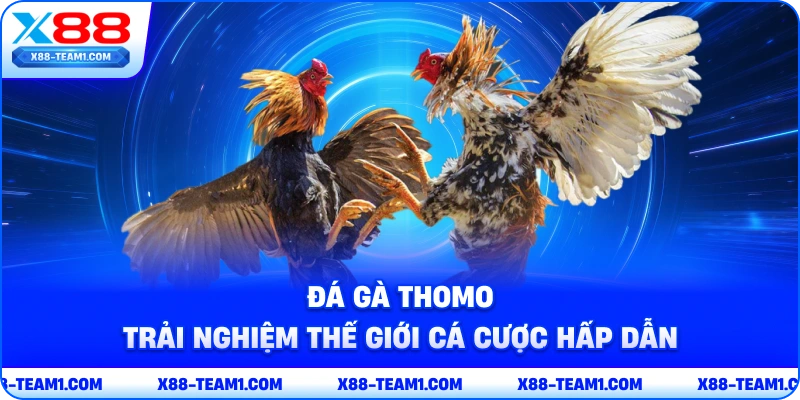Đá Gà Thomo – Trải Nghiệm Thế Giới Cá Cược Hấp Dẫn 1 da-ga-thomo-trai-nghiem-the-gioi-ca-cuoc-hap-dan