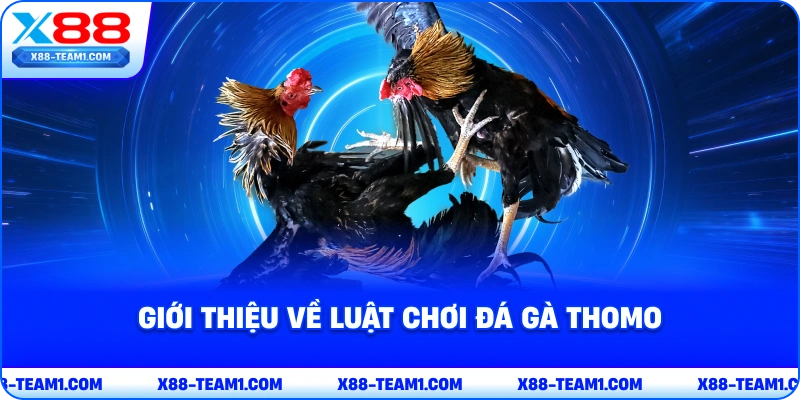 Đá Gà Thomo – Trải Nghiệm Thế Giới Cá Cược Hấp Dẫn 3 gioi-thieu-ve-luat-choi-da-ga-thomo