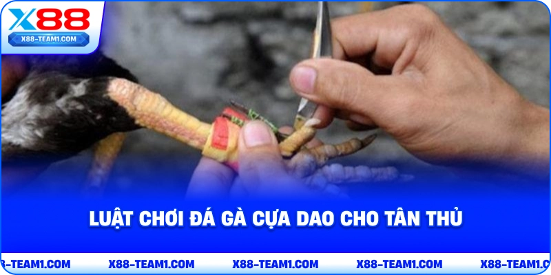 Đá Gà Cựa Dao Cực Hay – Chia Sẻ Mẹo Chơi Hốt Tiền Nhà Cái 3 luat-choi-da-ga-cua-dao-cho-tan-thu